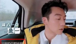 郑恺出道爆料视频大全,从青涩少年到当红明星的蜕变之路